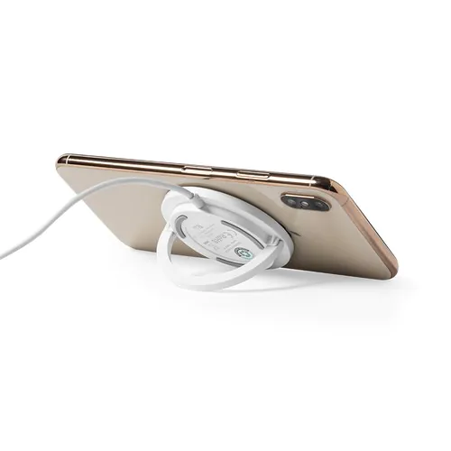 Chargeur Dixlem RCS Chargeur Dixlem RCS