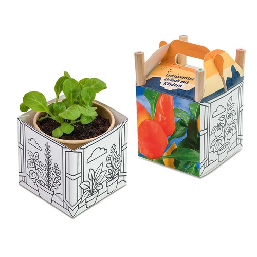 Color & Grow House - Chilli Color & Grow House - Chilli