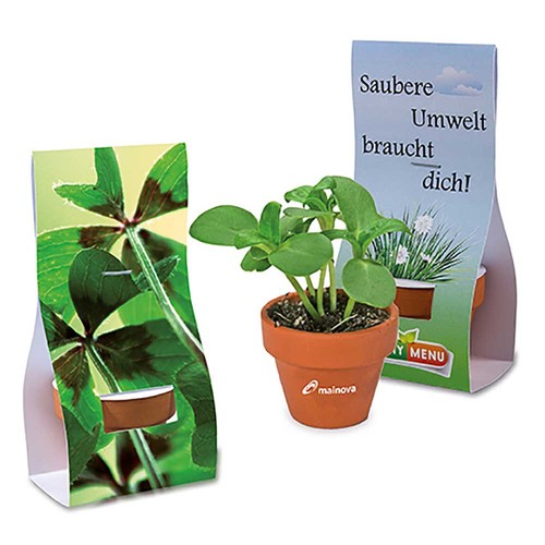 Mini pot terre cuite sous pochette - Bulbes de trèfle à 4 feuilles