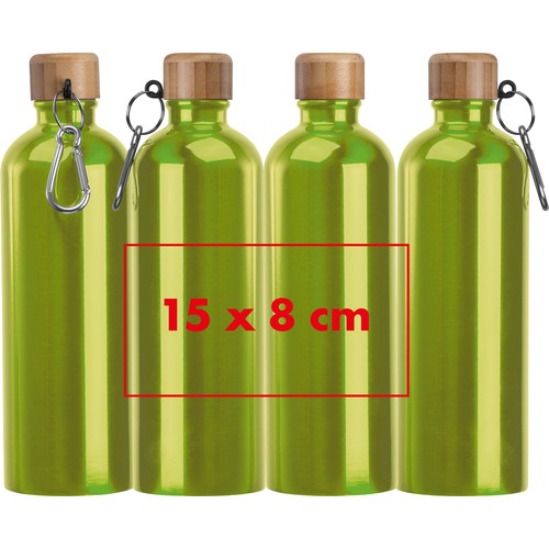 Botella de acero inoxidable con mosquetón, 750 ml