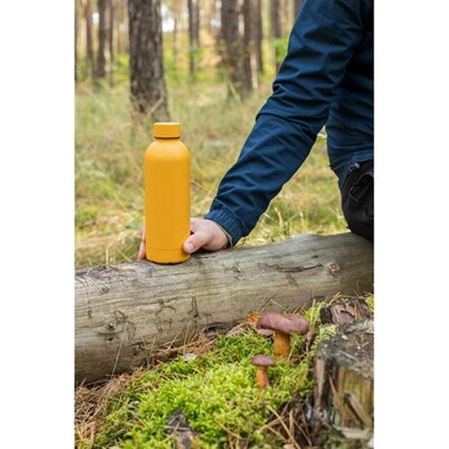 Bouteille isotherme 500 ml | Terryl Bouteille isotherme 500 ml | Terryl
