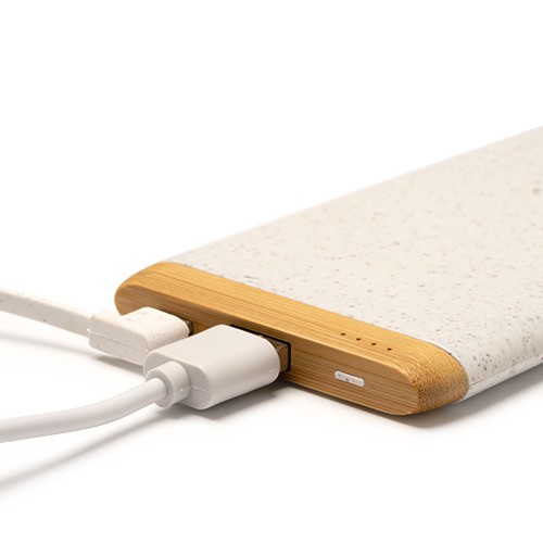 powerbank