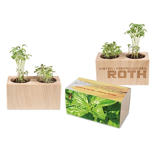 Pot bois 2 compartiments avec graines - Basilic