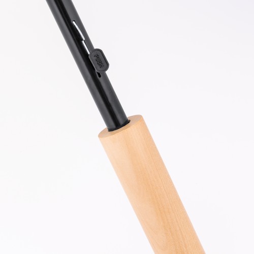 parasol