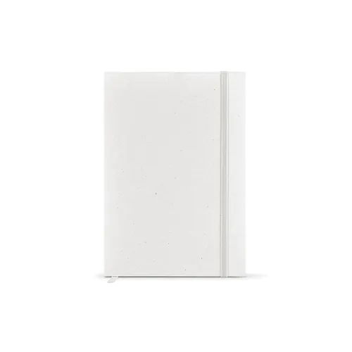 Hugo Notebook
