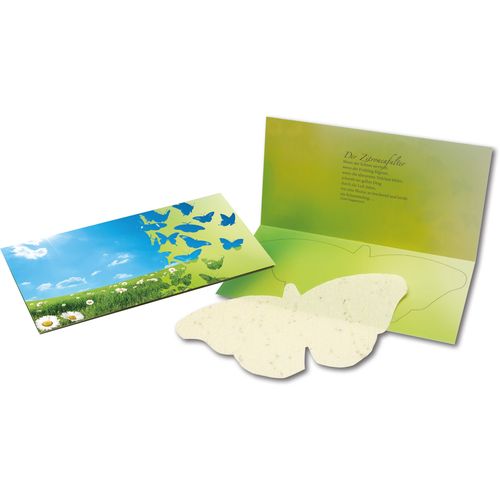 Butterfly Card Butterfly Card