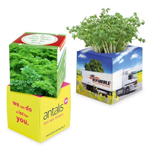 Plant-cube 2.0 with seeds - Christmas - Parsley Plant-cube 2.0 with seeds - Christmas - Parsley