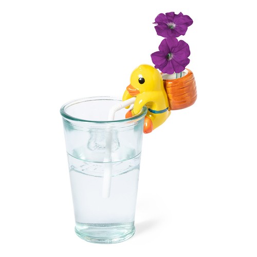 Maceta Chupon Maceta Chupon