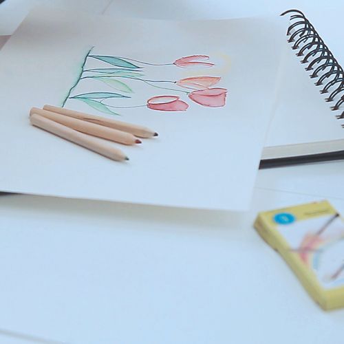 colored pencil colored pencil