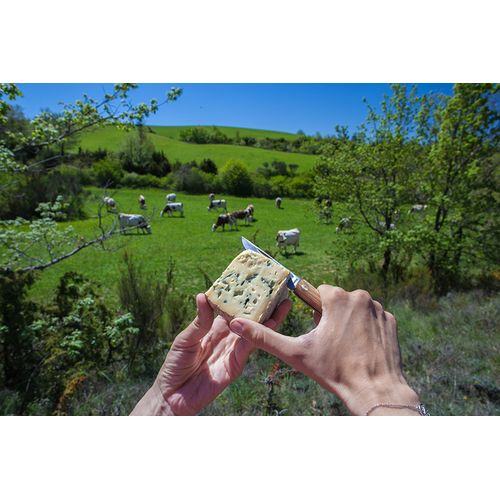 cuchillo de bolsillo