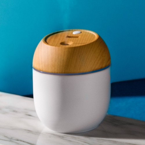 HUMIDIFIER LAGOON HUMIDIFIER LAGOON