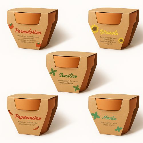 Maceta de terracota natural con turba y cápsula biodegradable con semillas