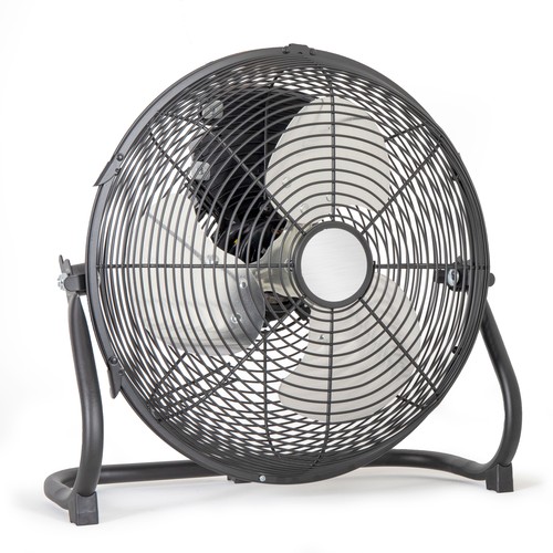 fan