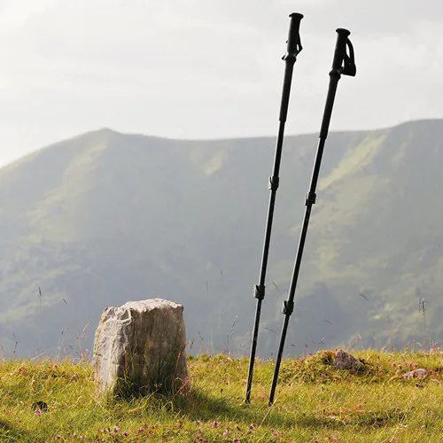 WALKING MILFORD STICKS WALKING MILFORD STICKS