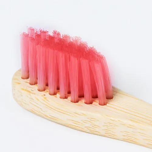Brosse à Dents Becu Brosse à Dents Becu