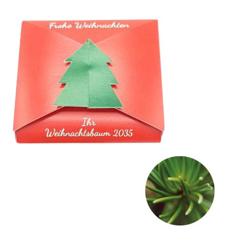 Closure – Fir Tree Seed Card - Norway spruce Closure – Fir Tree Seed Card - Norway spruce