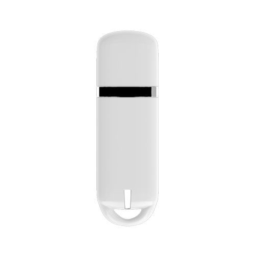 Plastic USB key Simple Priority