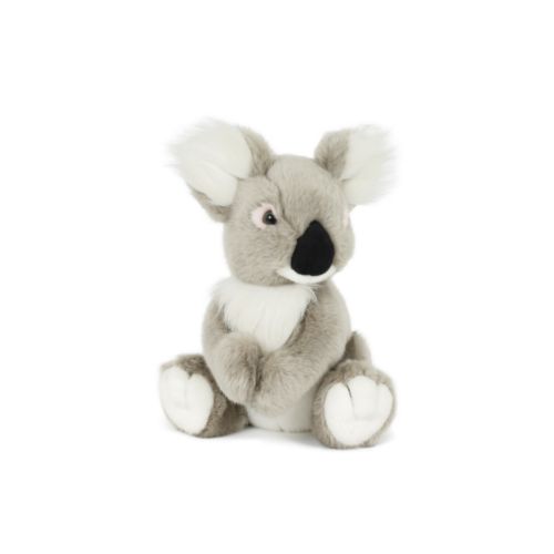 Peluche