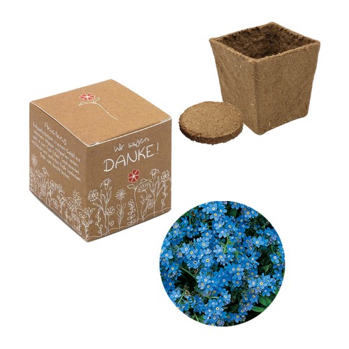 Cube-plantset (klein) - Vergeet-mij-nietje Cube-plantset (klein) - Vergeet-mij-nietje