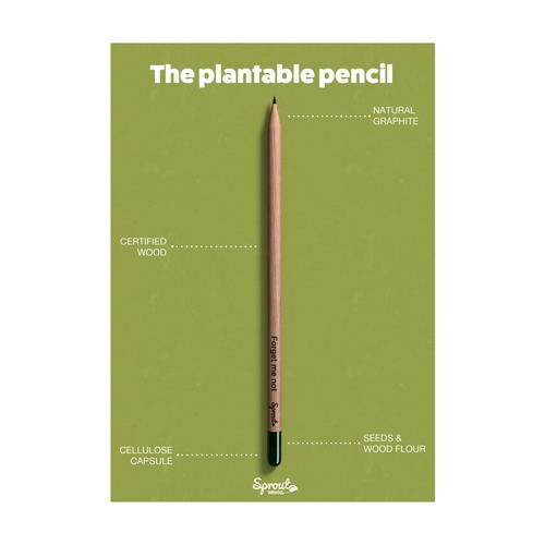 Sproutworld Sharpened Pencil Sproutworld Sharpened Pencil