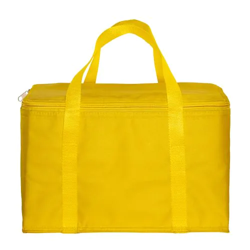Cooler bag with silver interior