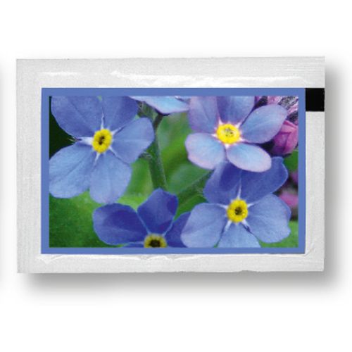 Sachet de graines myosotis 80 x 55 mm