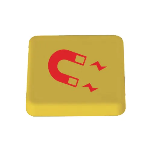 Magnet