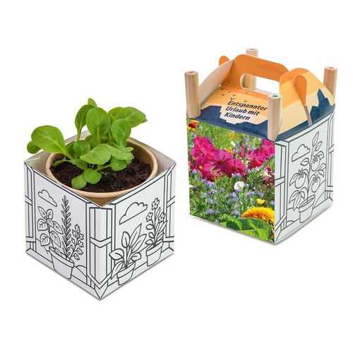 Colorer et cultiver la maison - Tournesol Colorer et cultiver la maison - Tournesol