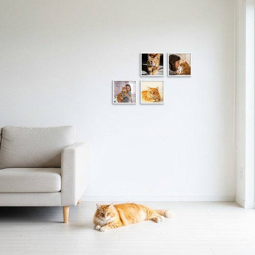 tela impresa tela impresa