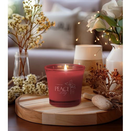 Świeca Ray EU Soy Wax 220ml bezbarwny