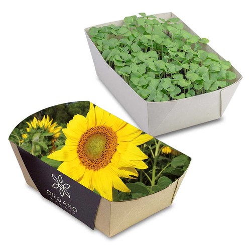 Jardinière en papier bambou avec graines - Tournesol Jardinière en papier bambou avec graines - Tournesol