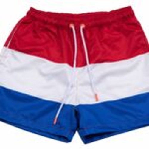 Premium Essential Swim Shorts