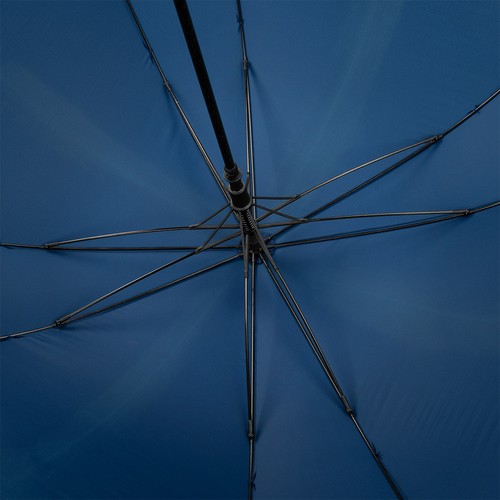 parasol