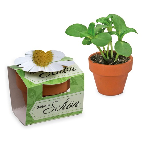 Mini pot terre cuite en fourreau fleur avec graines - Marguerite Mini pot terre cuite en fourreau fleur avec graines - Marguerite