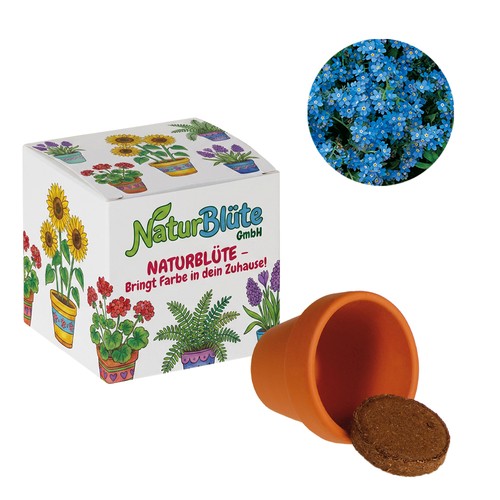 Cube de graines promotionnel (papier blanc) - Myosotis Cube de graines promotionnel (papier blanc) - Myosotis