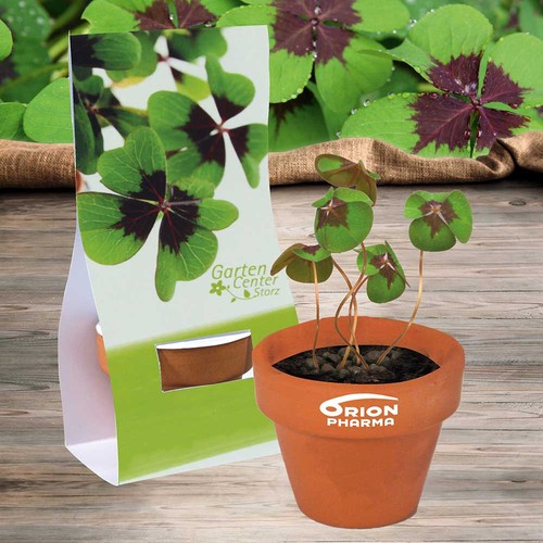 Mini Pot en terre cuite sous pochette avec graines - Four-leaf clover