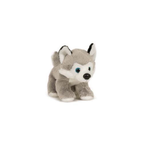 SEMO-Newbies Husky 13 cm