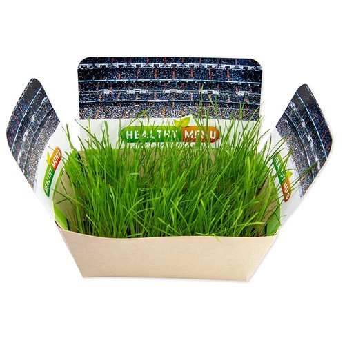 Jardinodrome avec graines - Mélange de fleurs d'été