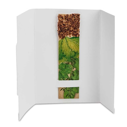 Stick aux herbes avec graines - Basilic