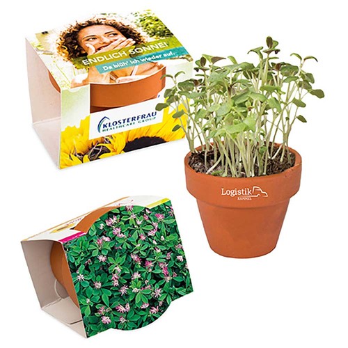 Mini logo-pot complete paper band with seeds - Persian clover (seeds) Mini logo-pot complete paper band with seeds - Persian clover (seeds)