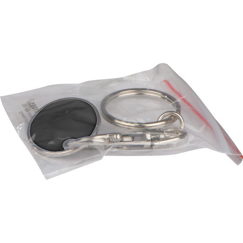 Sleutelhanger met muntje Sleutelhanger met muntje