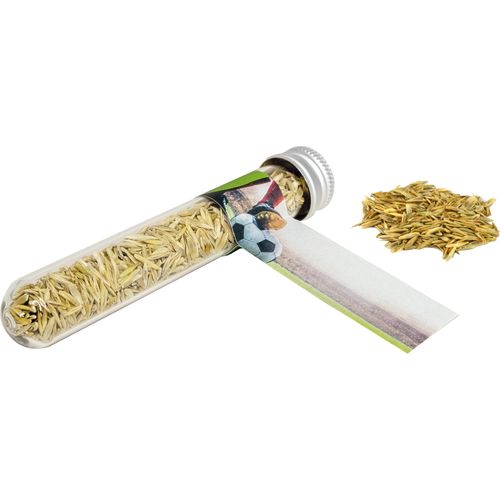 Glass Tube Sports Field Glass Tube Sports Field