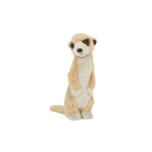peluche