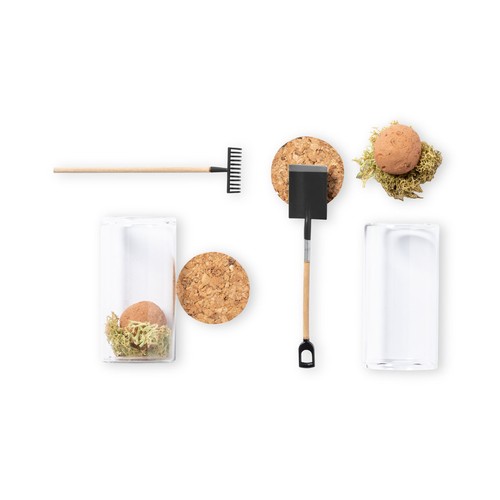 Bombón Semillas Winsu Bombón Semillas Winsu