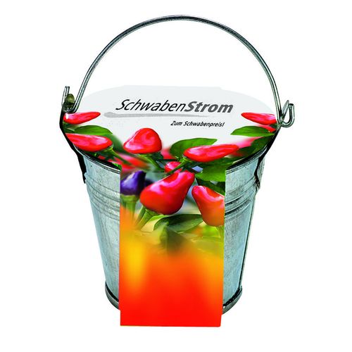 Zinc Bucket Chilli Zinc Bucket Chilli