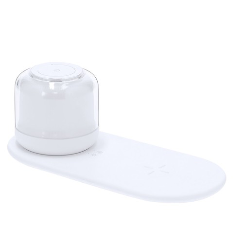 Oplader Lamp Reginal