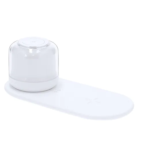 Charger Lamp Reginal Charger Lamp Reginal