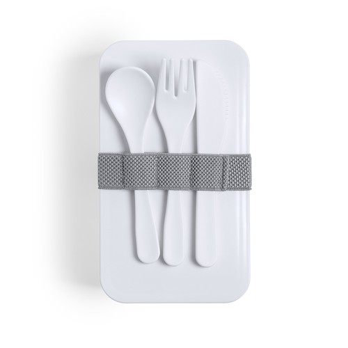 Antibacterieel Lunch Box Fandex