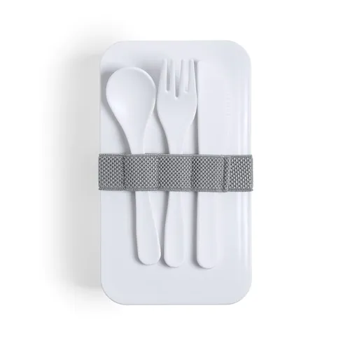 Antibacterieel Lunch Box Fandex
