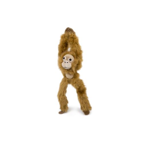 Peluche Peluche